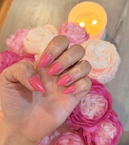 Blossom Studio
