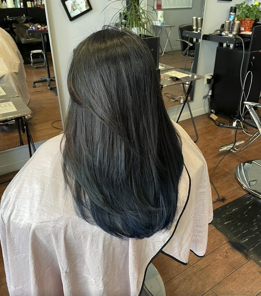 1 salon 3