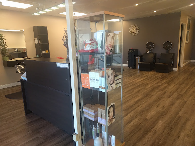 Elements Salon 2