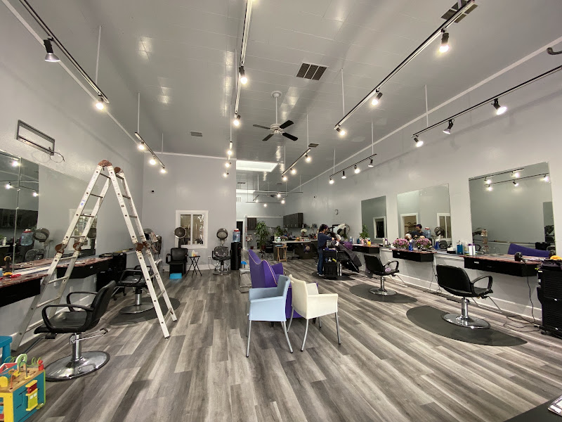 Salon De Annie 2