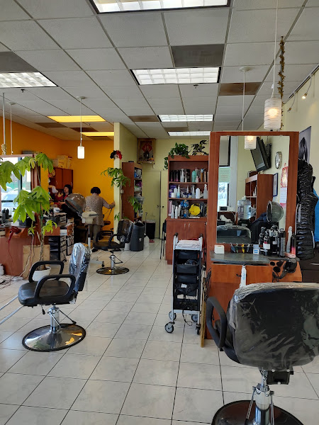 Hair Designers