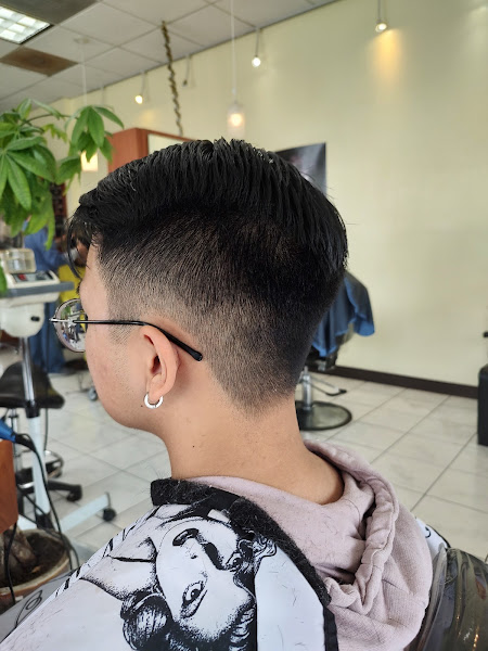 Hair Designers 5