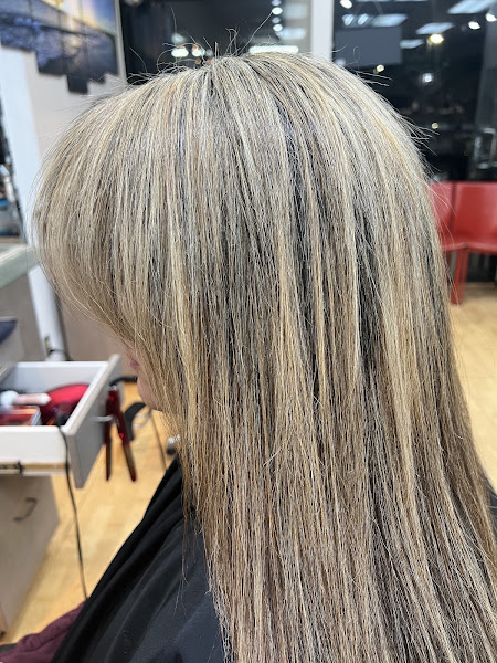 TS Hair Design 2