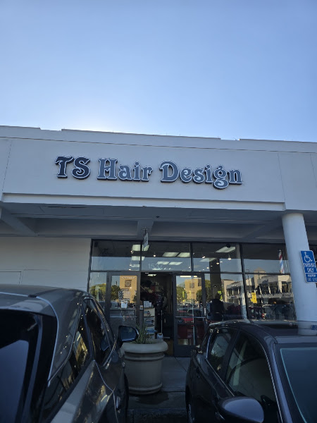 TS Hair Design 3