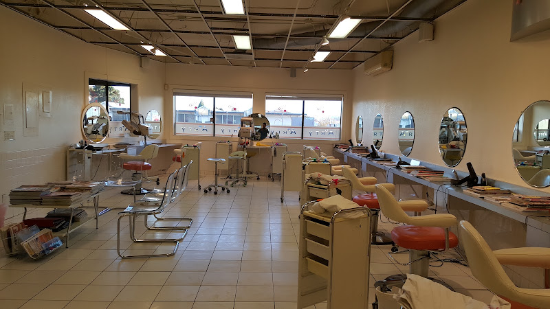 Art Hair Salon 5