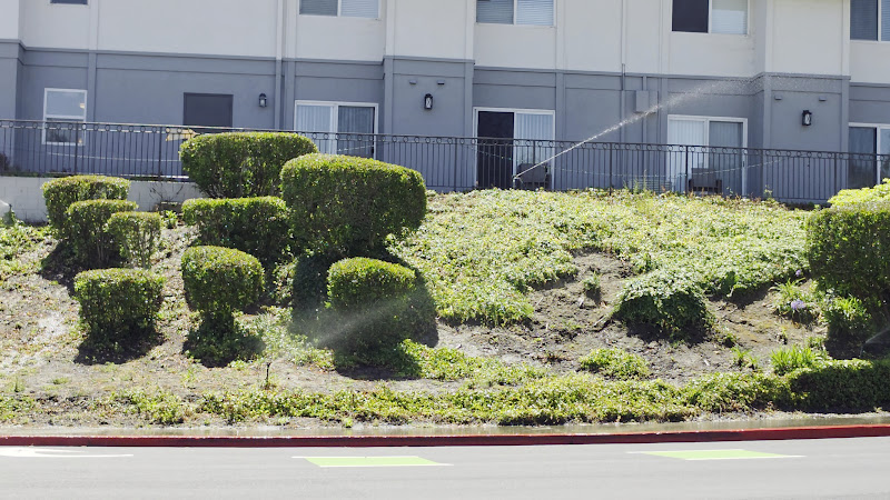 Serra Highlands Senior Living 2