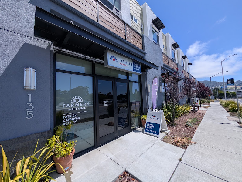 Cathi Java - State Farm Insurance Agent 2