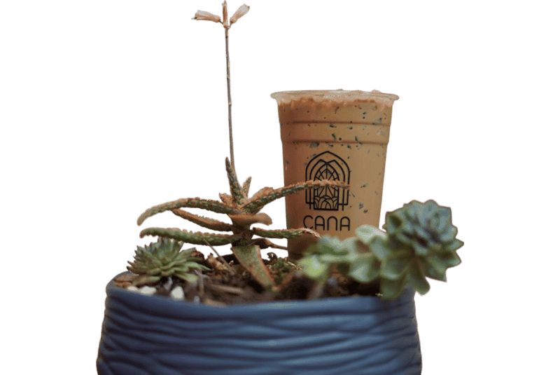 CANA Tea & Coffee 5