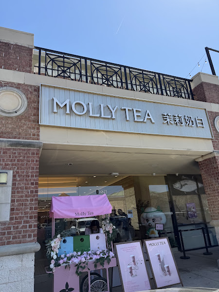 Molly Tea (Houston Chinatown)