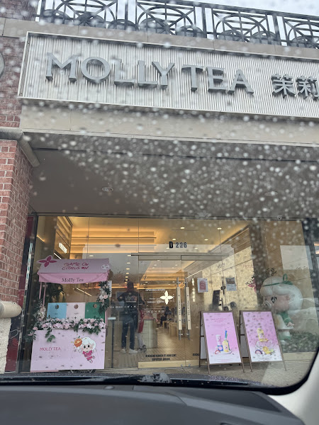 Molly Tea (Houston Chinatown) 3