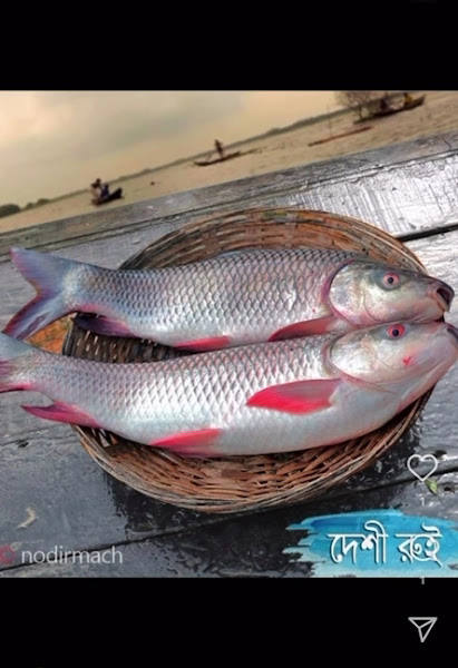 Bangla Bazar 3