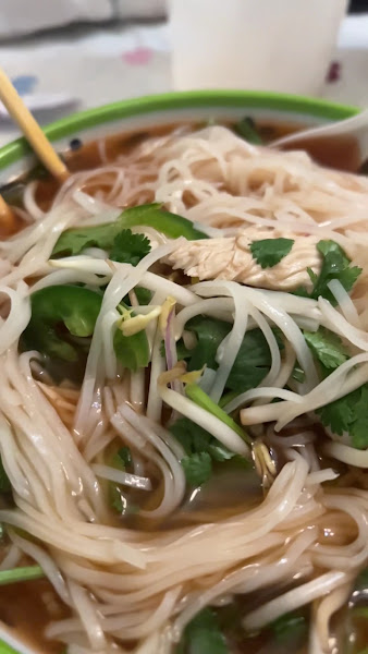 Saigon Gessner Noodle & Rice 2