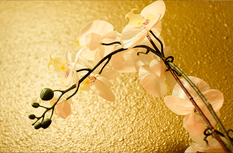 Orchid Massage Retreat Houston