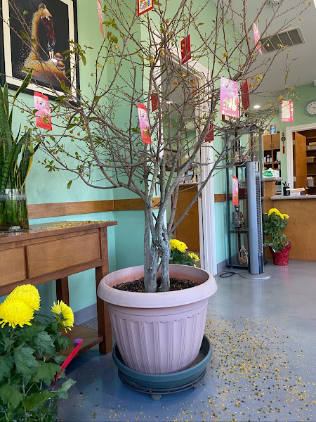 Thang Quang Lam, DDS, PA 2