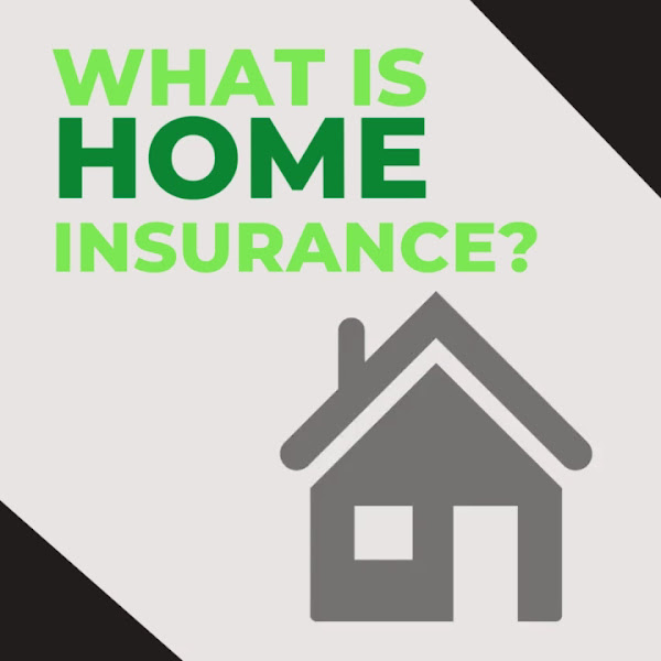 TWFG Mai Lan Vo Insurance 2