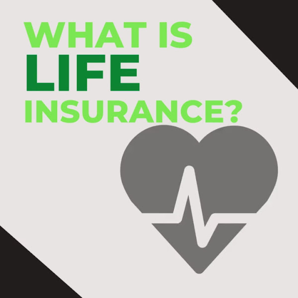 TWFG Mai Lan Vo Insurance 4