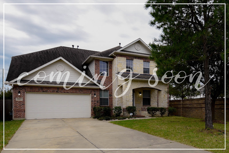 Ann Nguyen - Real Estate Agent 4