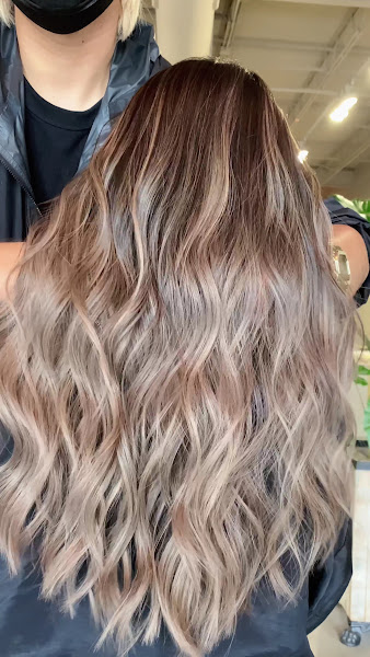 SALON Per Se 2