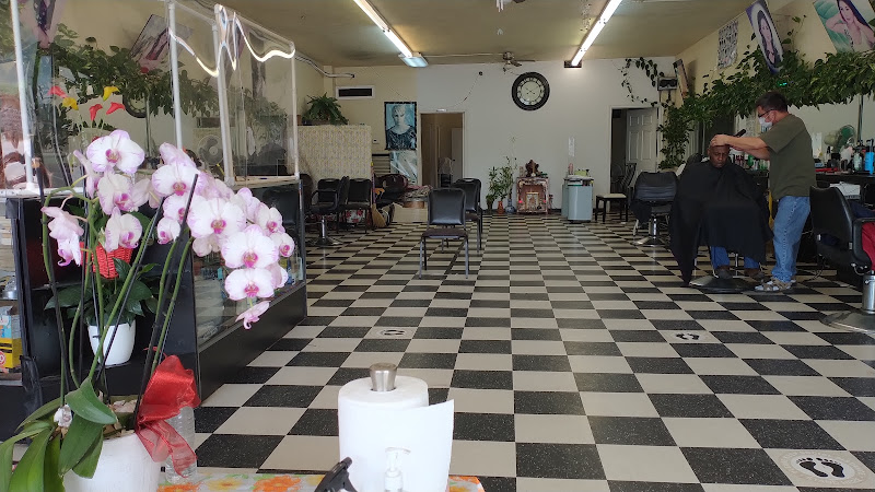 Dana Hair Salon 3