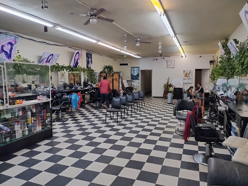 Dana Hair Salon 4