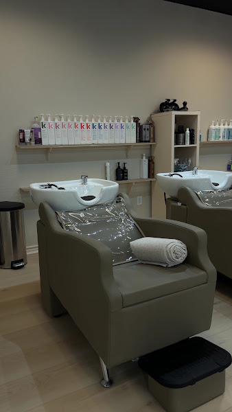 Salon Vive 2