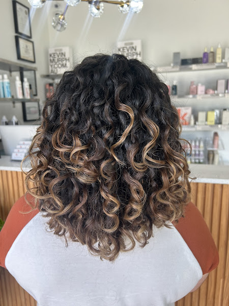 Salon Vive 3