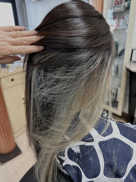 V Salon Spa 2