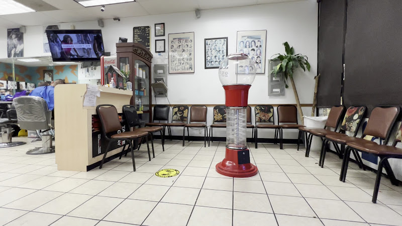 Q Salon 1