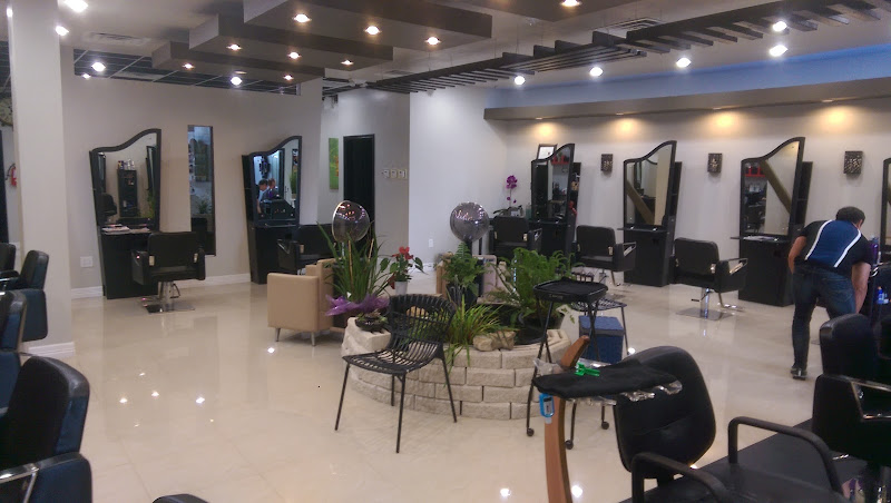 V V Salon 2