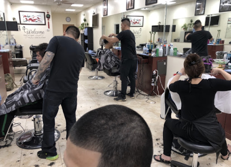 MT Salon