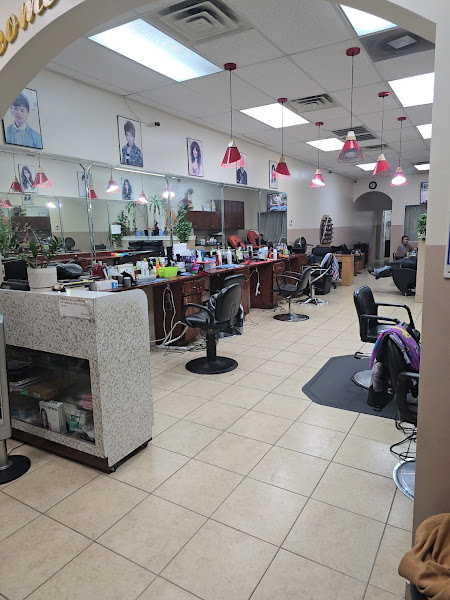 P V Salon