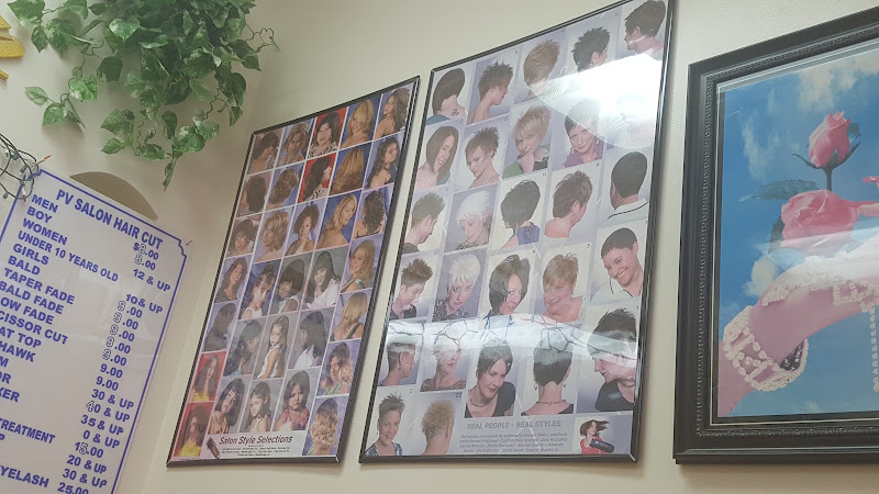 P V Salon 3