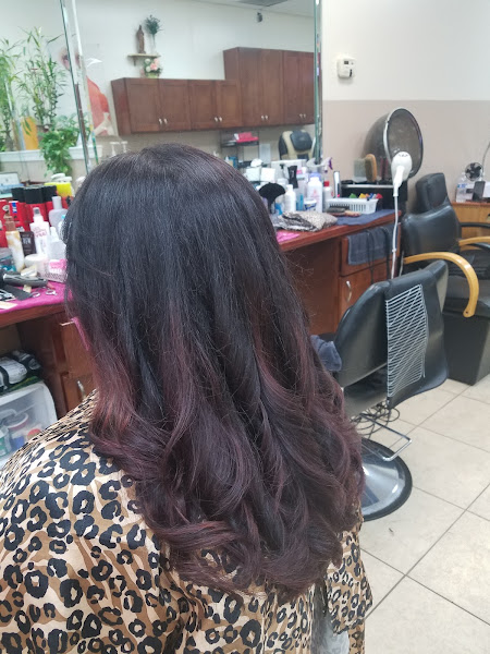 P V Salon 4