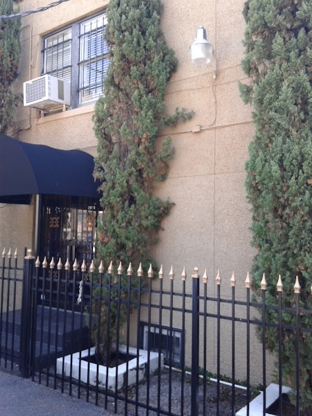 Tammy Tran & Associates 5