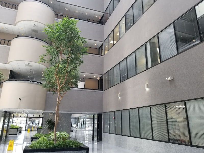 Truong Law Firm, PLLC 5