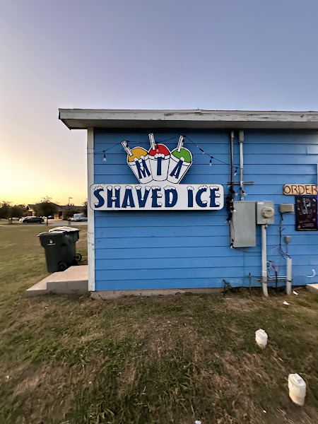 M.T.A. Shaved Ice