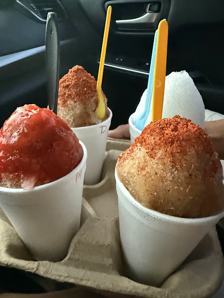 M.T.A. Shaved Ice 4