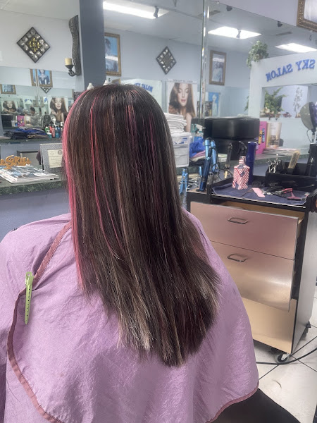 Blue Sky Salon 2