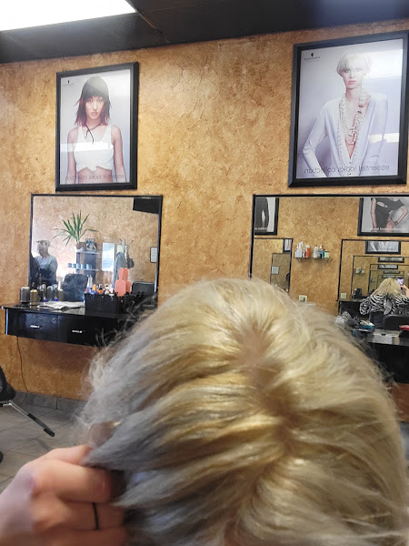 Vince's Salon 3