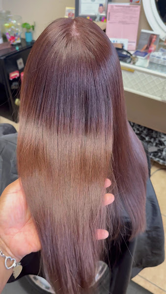 Salon’s On The Plaza | Laposh Studio By Brenda O 2