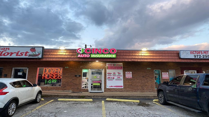 CINCO Auto Insurance