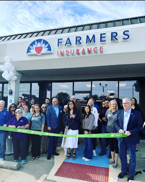 Farmers Insurance - Anna Luna 2