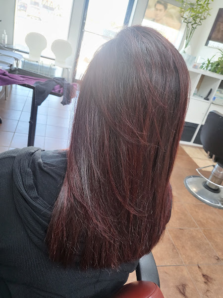 LX Salon 2