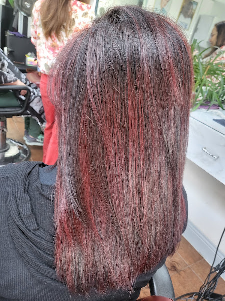 LX Salon 3