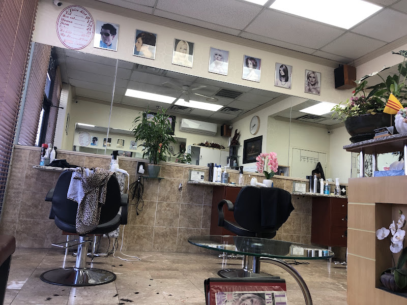 Andy's Salon