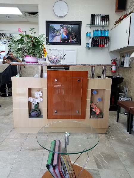 Andy's Salon 3