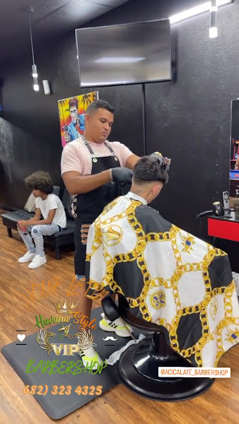 HAVANA STYLE VIP LLC. 2
