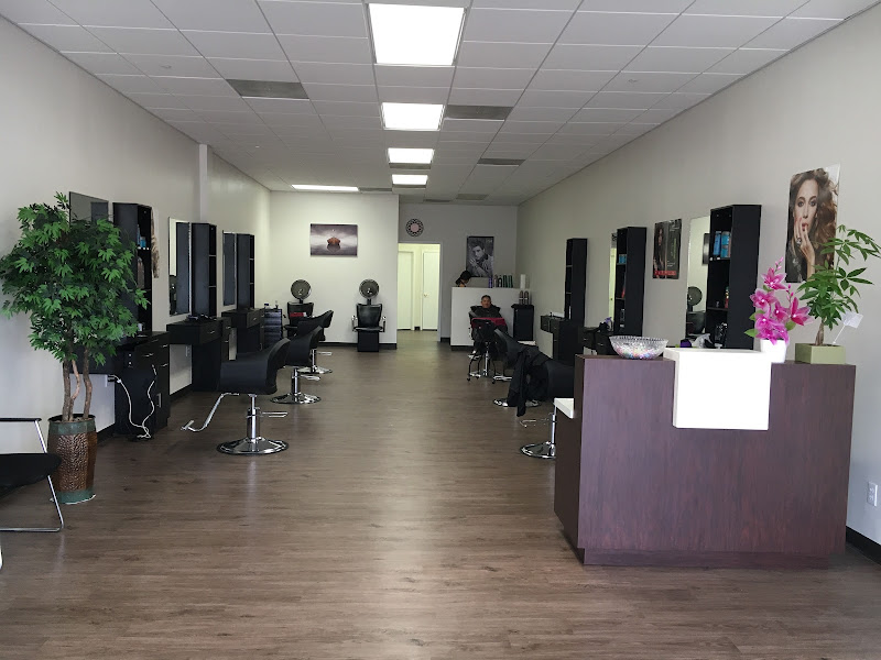 Kelly's Haircuts 3