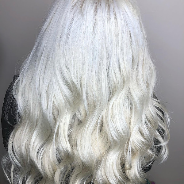 Sofia Elaine Salon 3