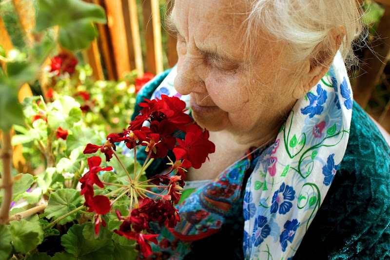 ComForCare Home Care (Arlington TX) 3